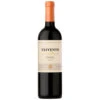 Trivento Golden Reserve Malbec Mendoza