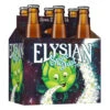 Elysian Space Dust IPA • 6pk Bottle